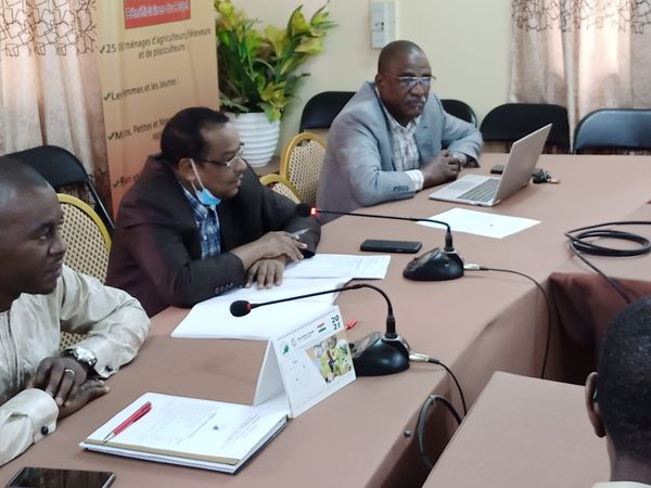 Pimelan/ identification des SFD