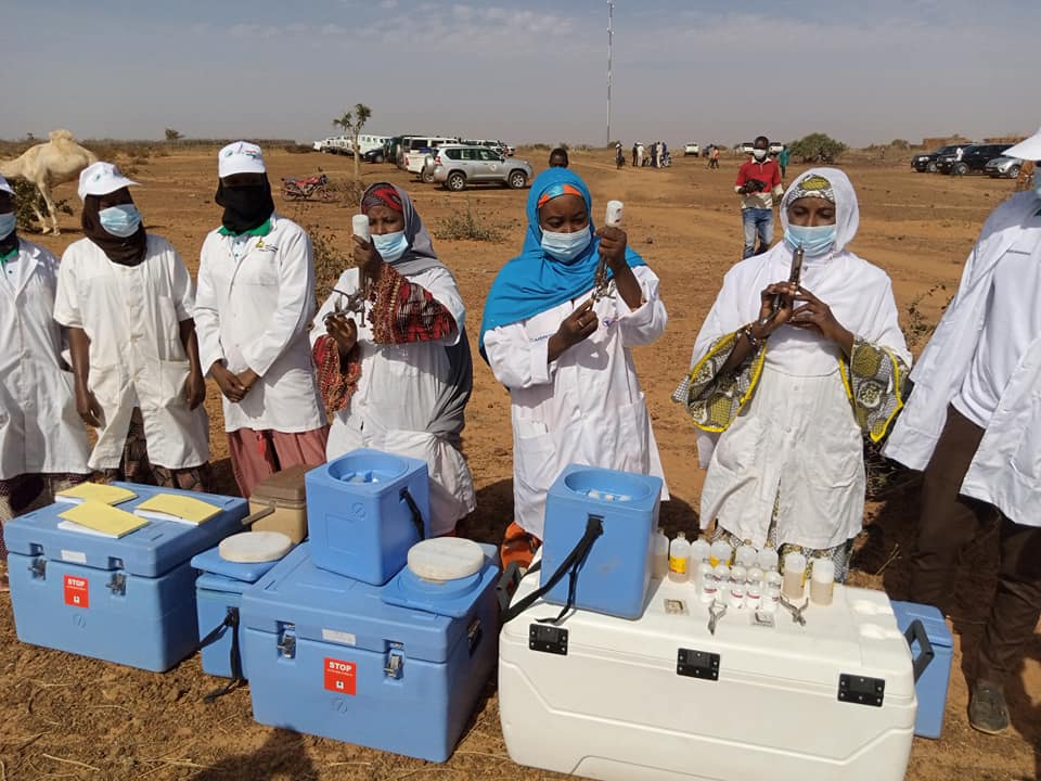 Lancement de la campagne gratuite de vaccination de cheptel édition 2021_2022 Lancement de la campagne gratuite de vaccination de cheptel édition 2021_2022
